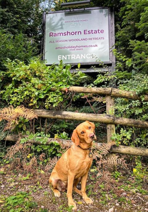 Padley; Woodland Lodge With Hot Tub For 2-4 In The Staffordshire Moorlands Oakamoor Εξωτερικό φωτογραφία