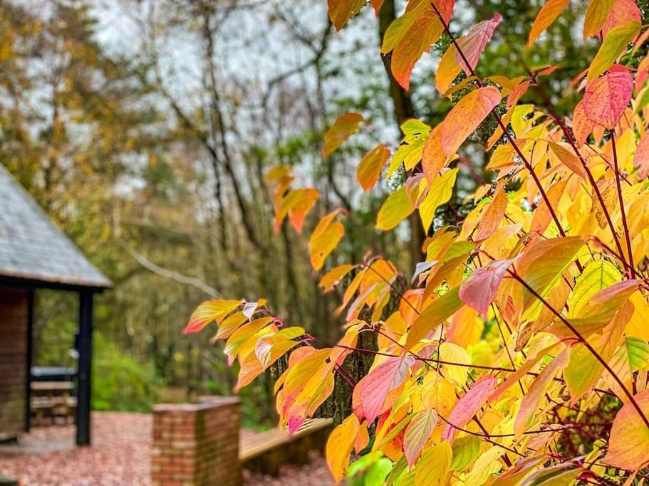 Padley; Woodland Lodge With Hot Tub For 2-4 In The Staffordshire Moorlands Oakamoor Εξωτερικό φωτογραφία