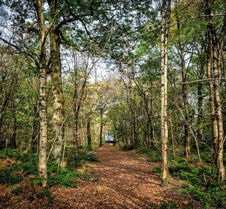 Padley; Woodland Lodge With Hot Tub For 2-4 In The Staffordshire Moorlands Oakamoor Εξωτερικό φωτογραφία