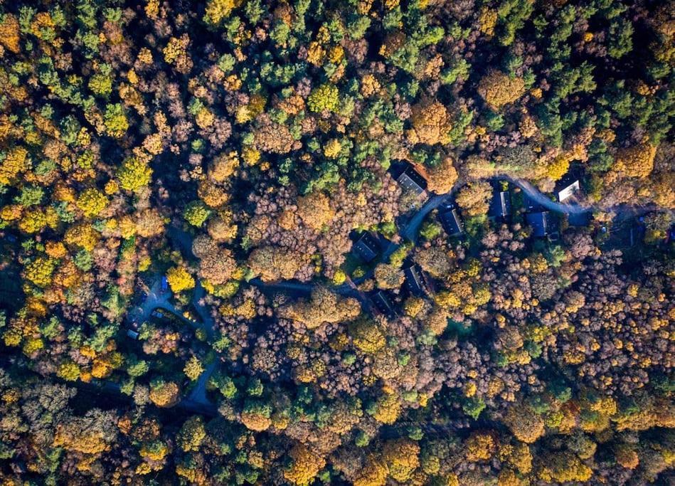 Padley; Woodland Lodge With Hot Tub For 2-4 In The Staffordshire Moorlands Oakamoor Εξωτερικό φωτογραφία